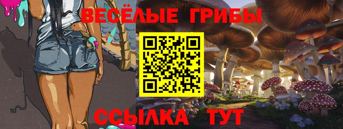 закладка  Псилоцибиновые грибы ЛСД  Вход с VPN  Торжок  Галлюциногенные грибы ЛСД 